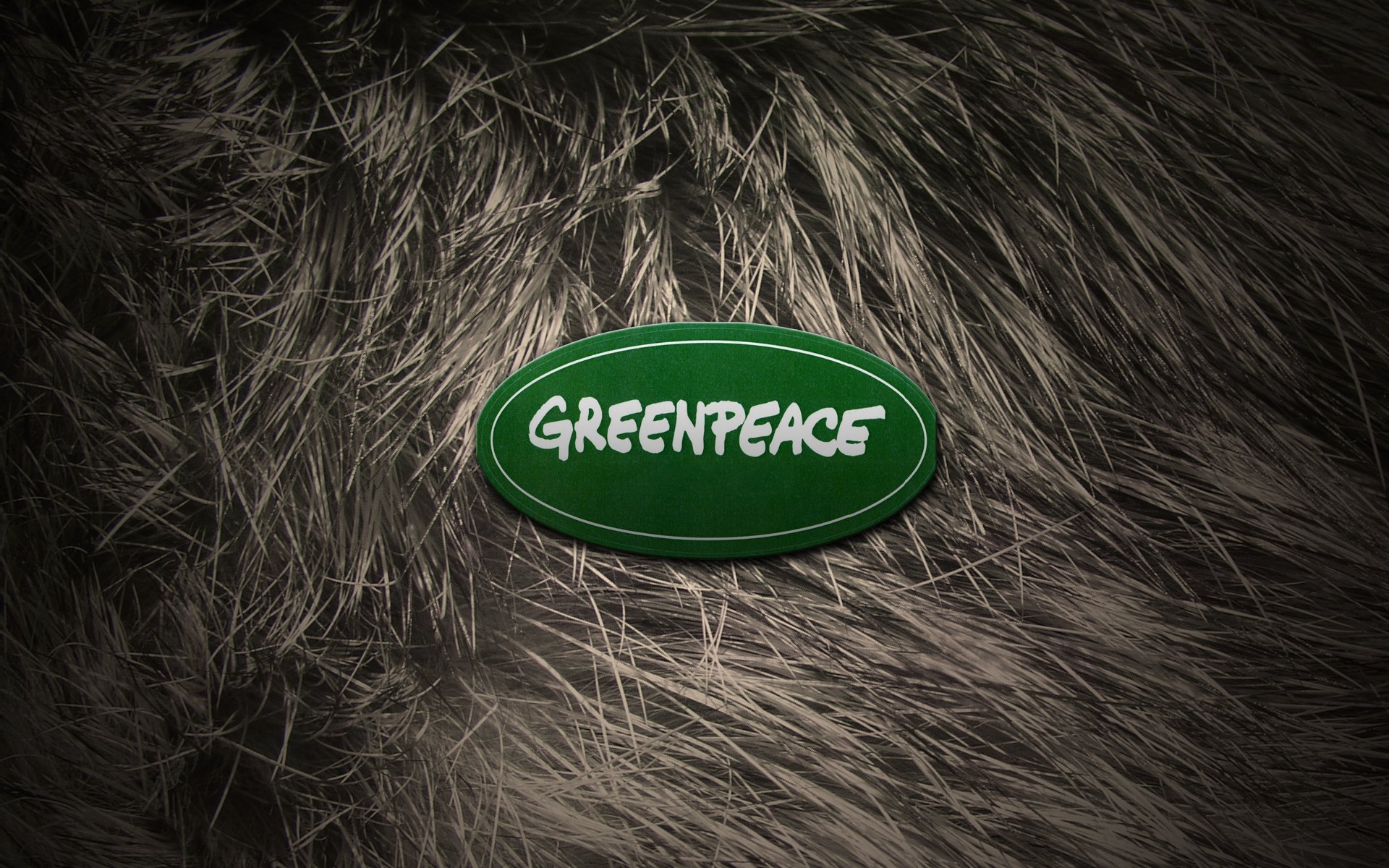 greenpeace logo wool fur animals new year 2012 girl nude