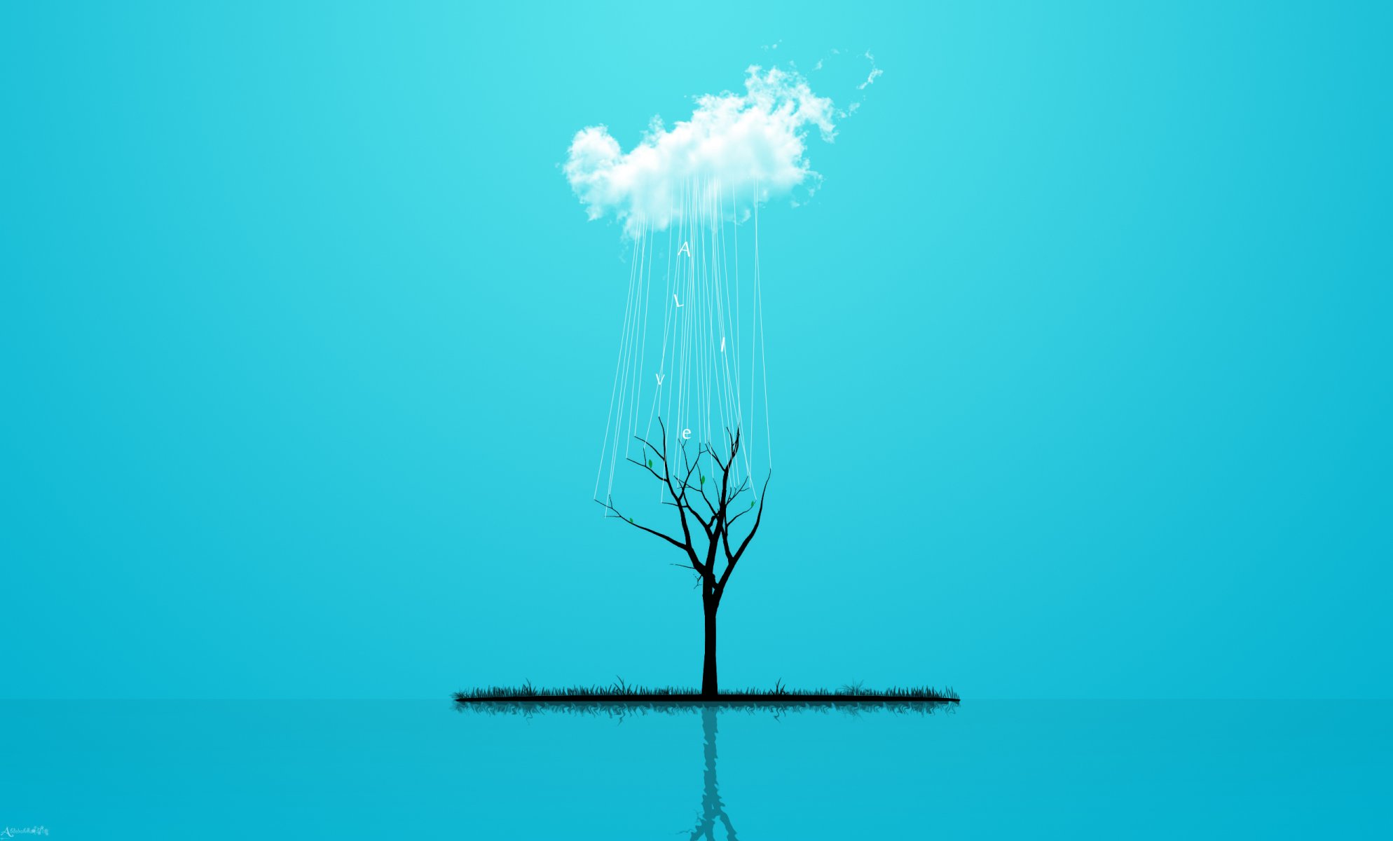 minimalism style tree cloud rain grass reflection 2560x1600