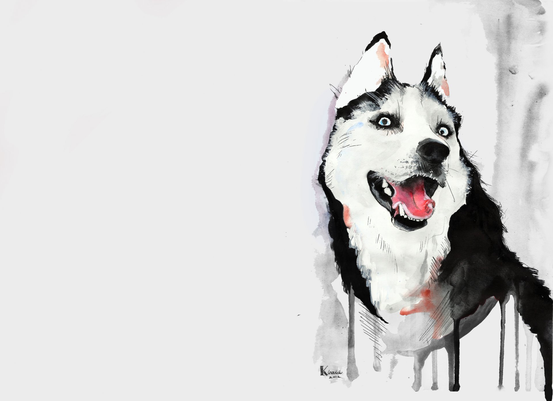 hund husky zeichnung aquarell husky sprache