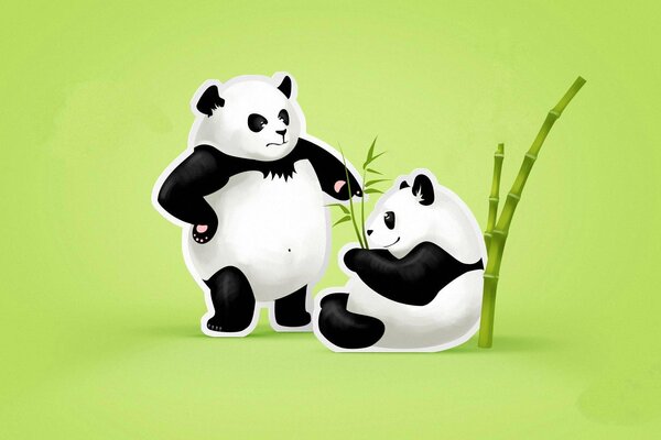 Pandas cómicos en bambú sobre un fondo verde