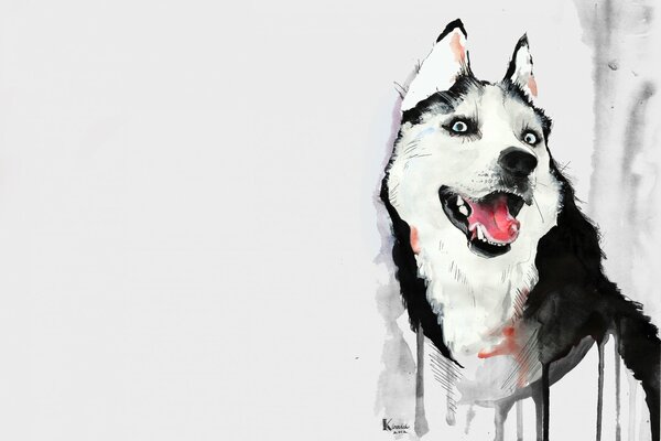 Zeichnung mit Aquarell. Husky mit offenem Mund