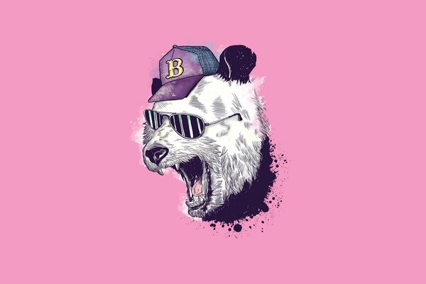 Panda in a cap and glasses on pink