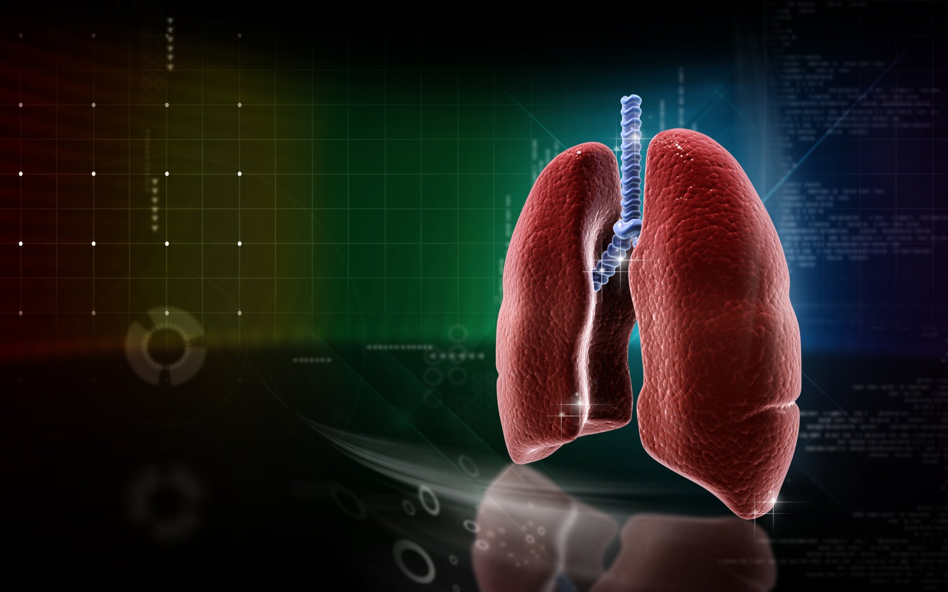 medicina pulmones anatomía