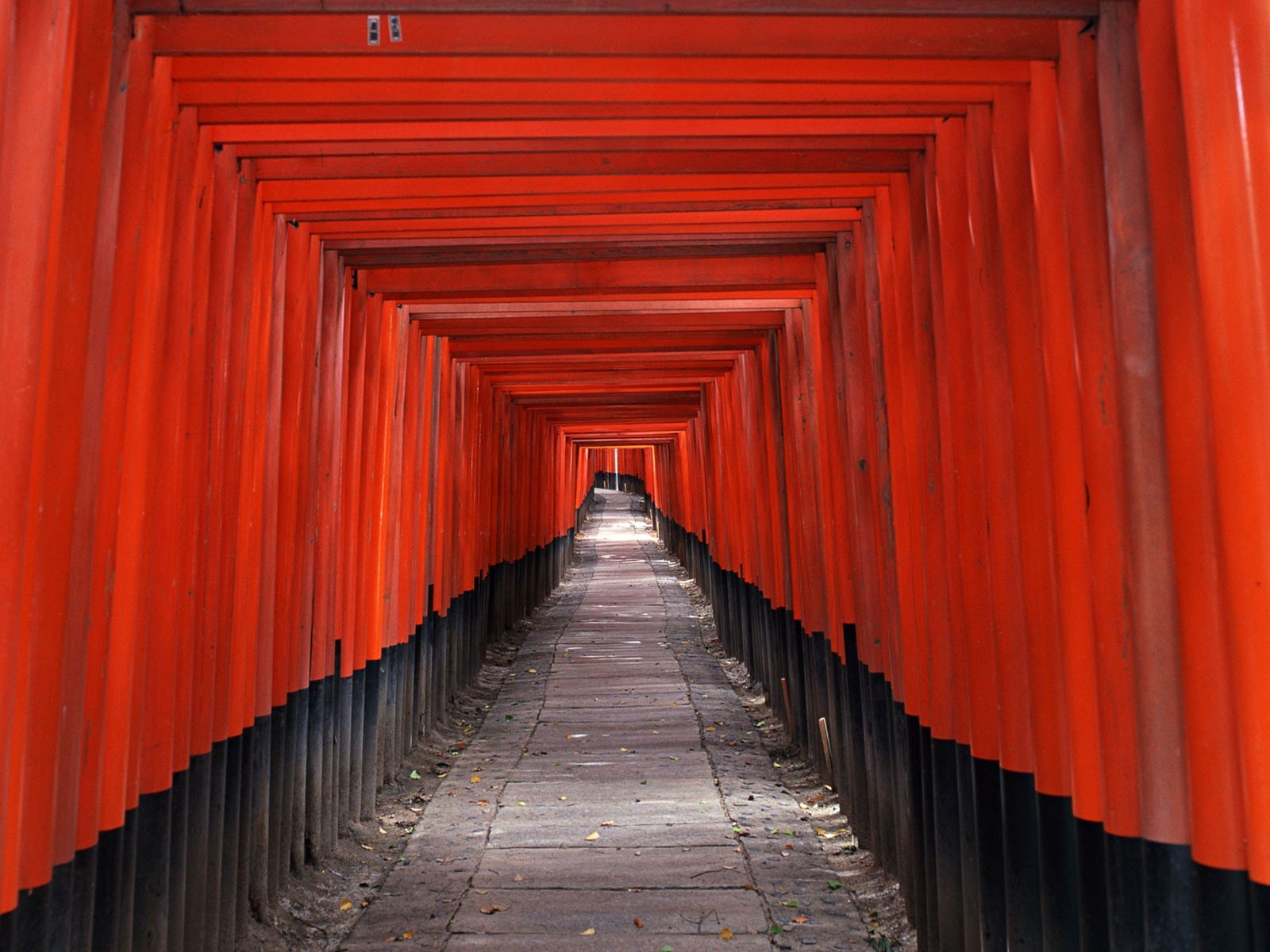 le japon couloir rouge