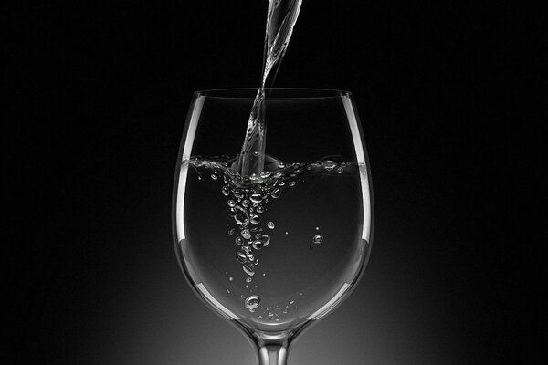 Fotografía en blanco y negro de un vaso de agua