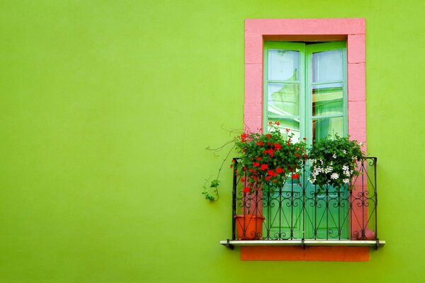 Beautiful flowers on the balcony