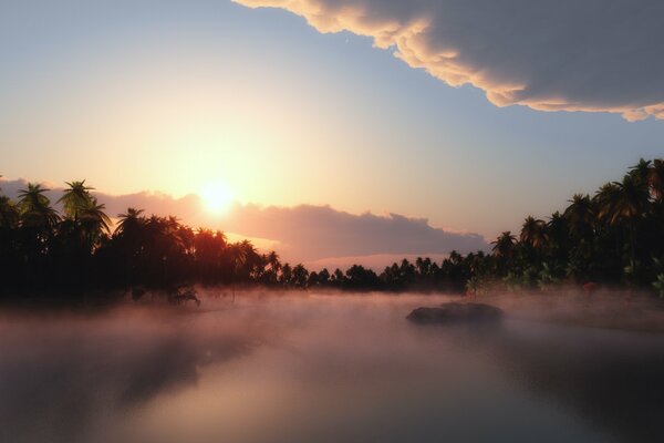 The sun through the fog and palm trees