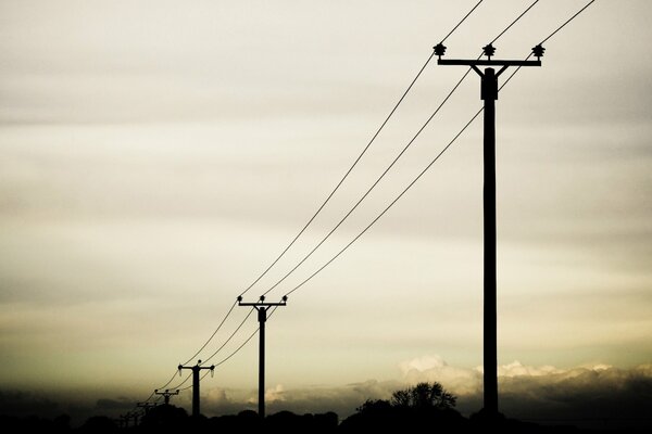 Power line on the background of the evening sky