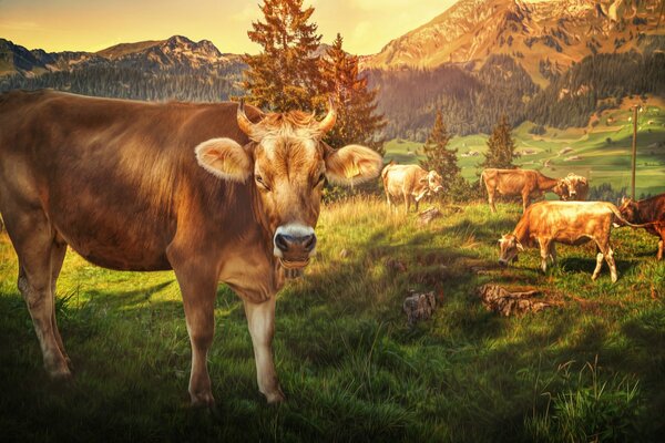 Processed image of mountains and cows