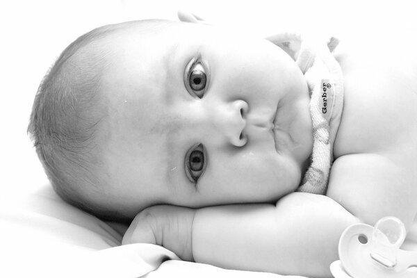 Bébé nouveau-né avec sucette photo en noir et blanc