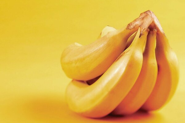 Plátanos amarillos de madurez perfecta sobre un fondo amarillo