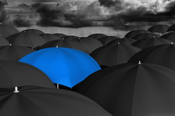 Blue umbrella among black umbrellas