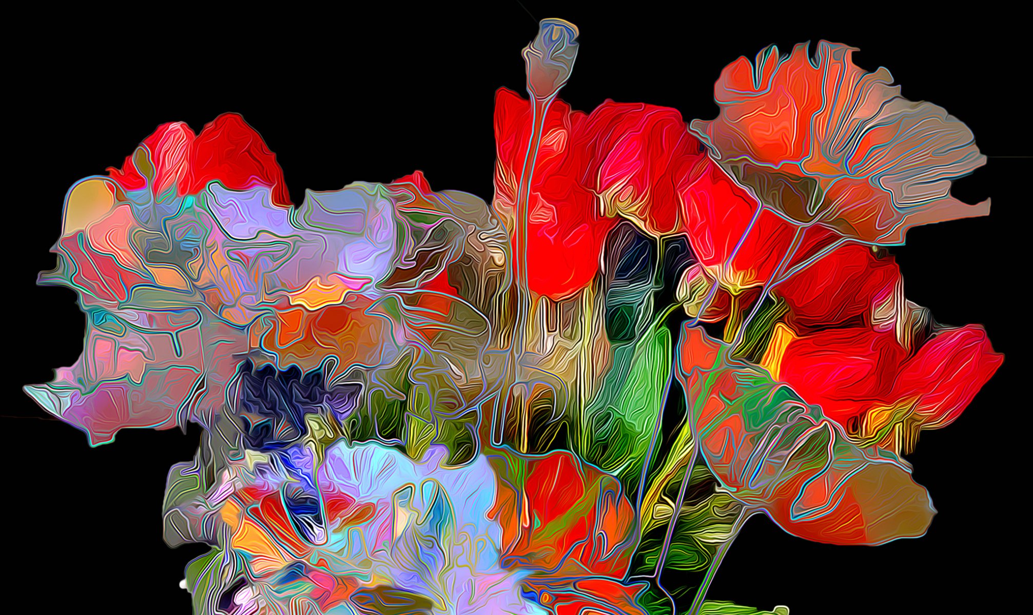 flower poppies petals line