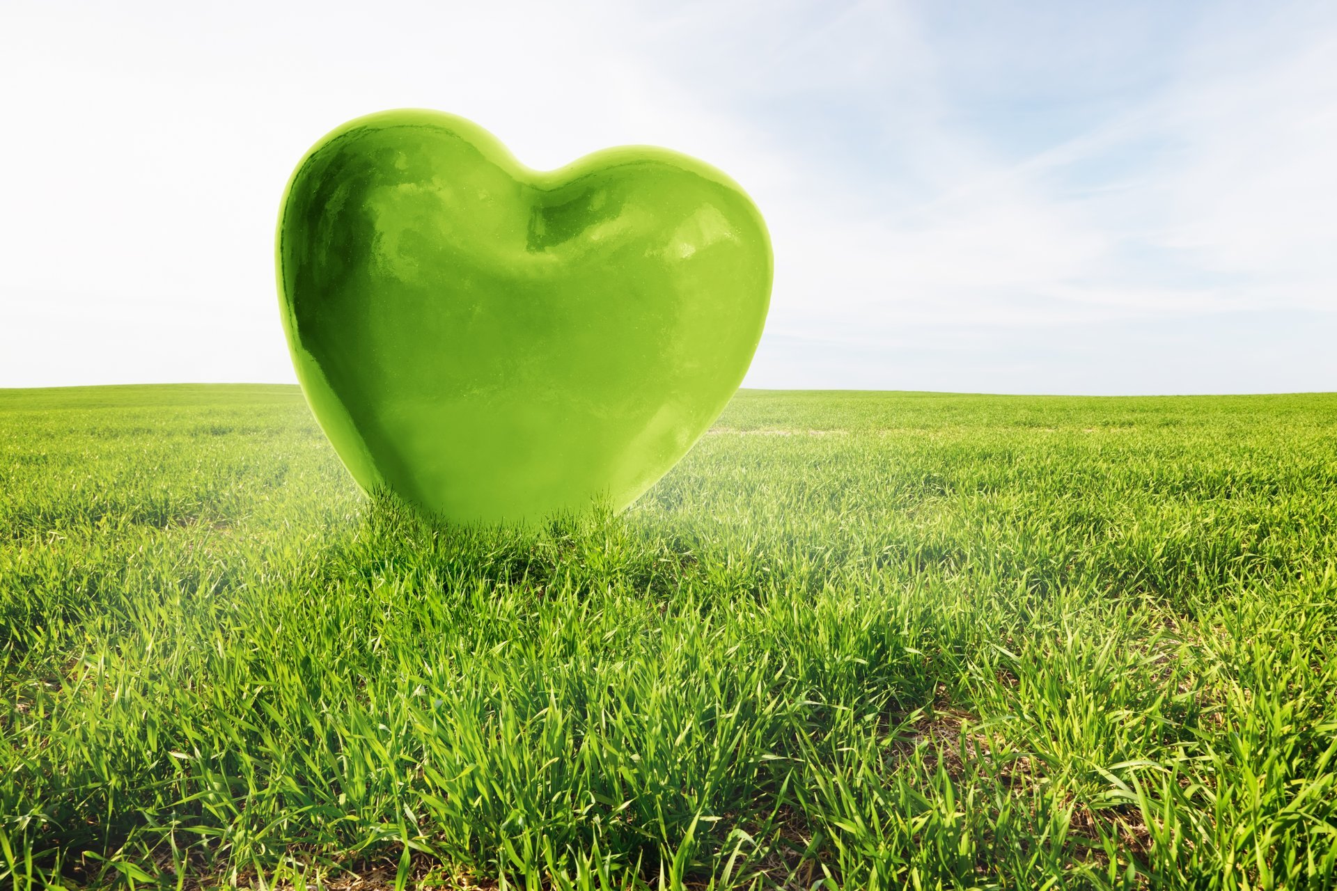 love heart 3d green field