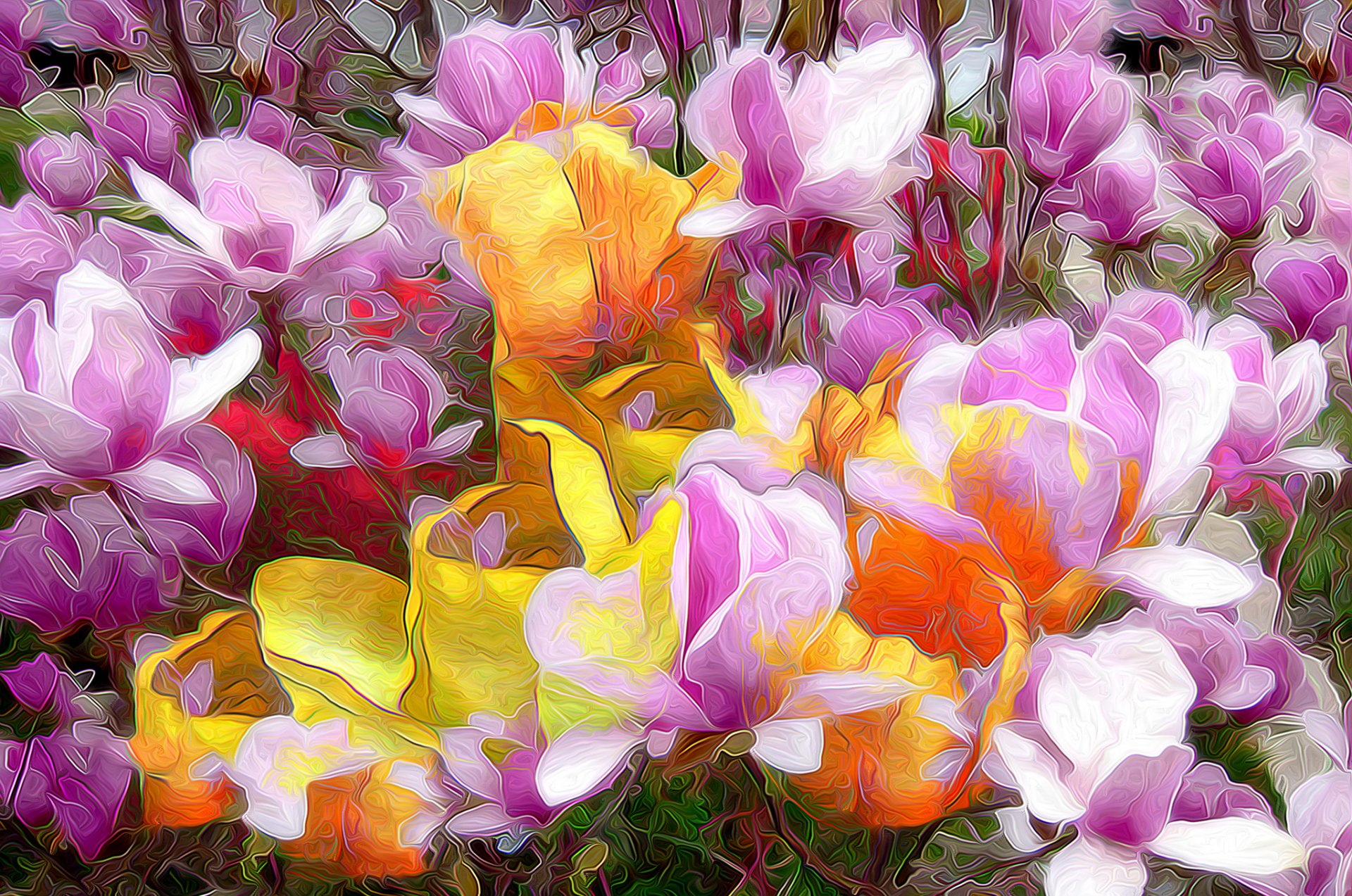 blumen blütenblätter linien farben striche