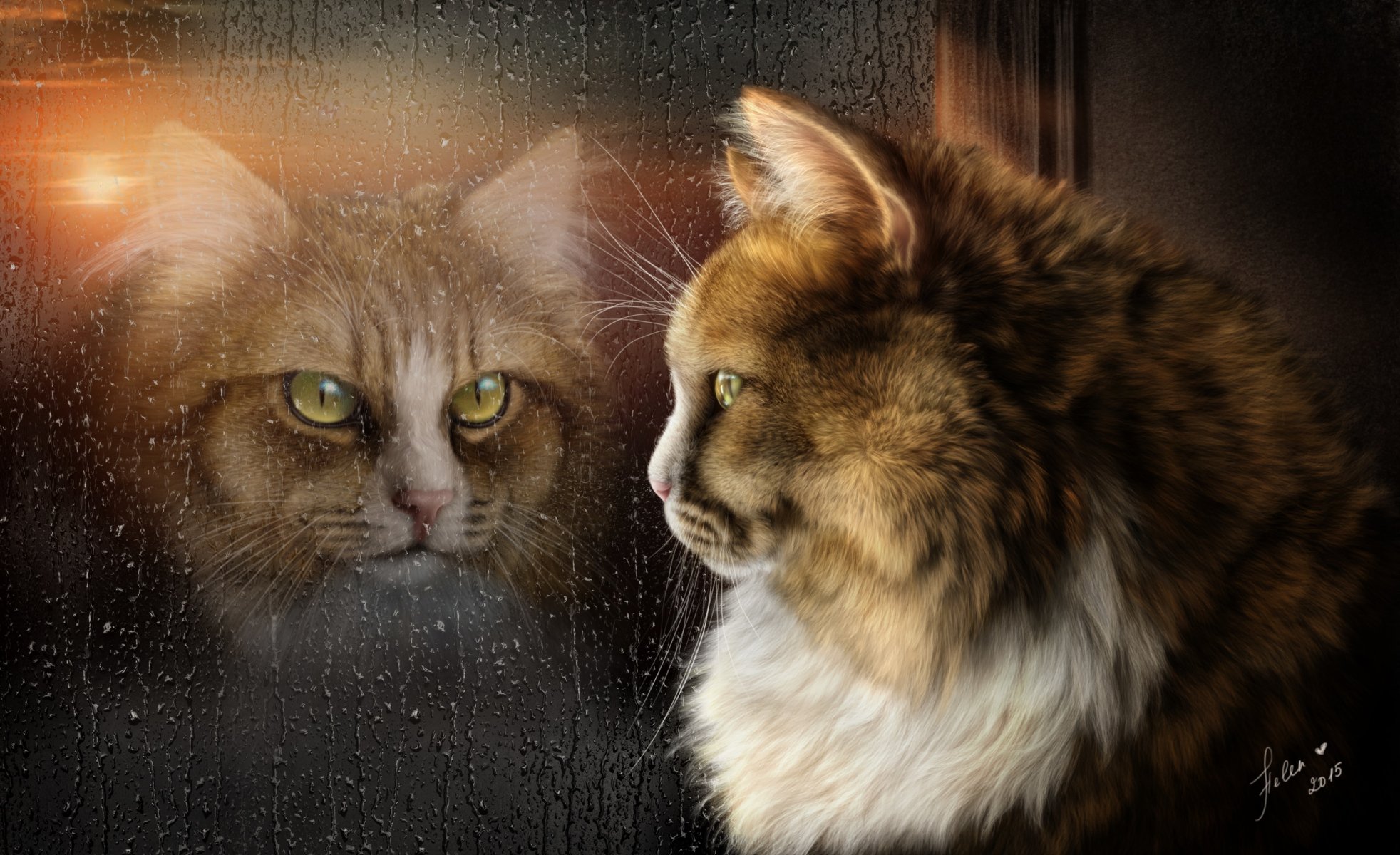 katze regen reflexion fenster stimmung