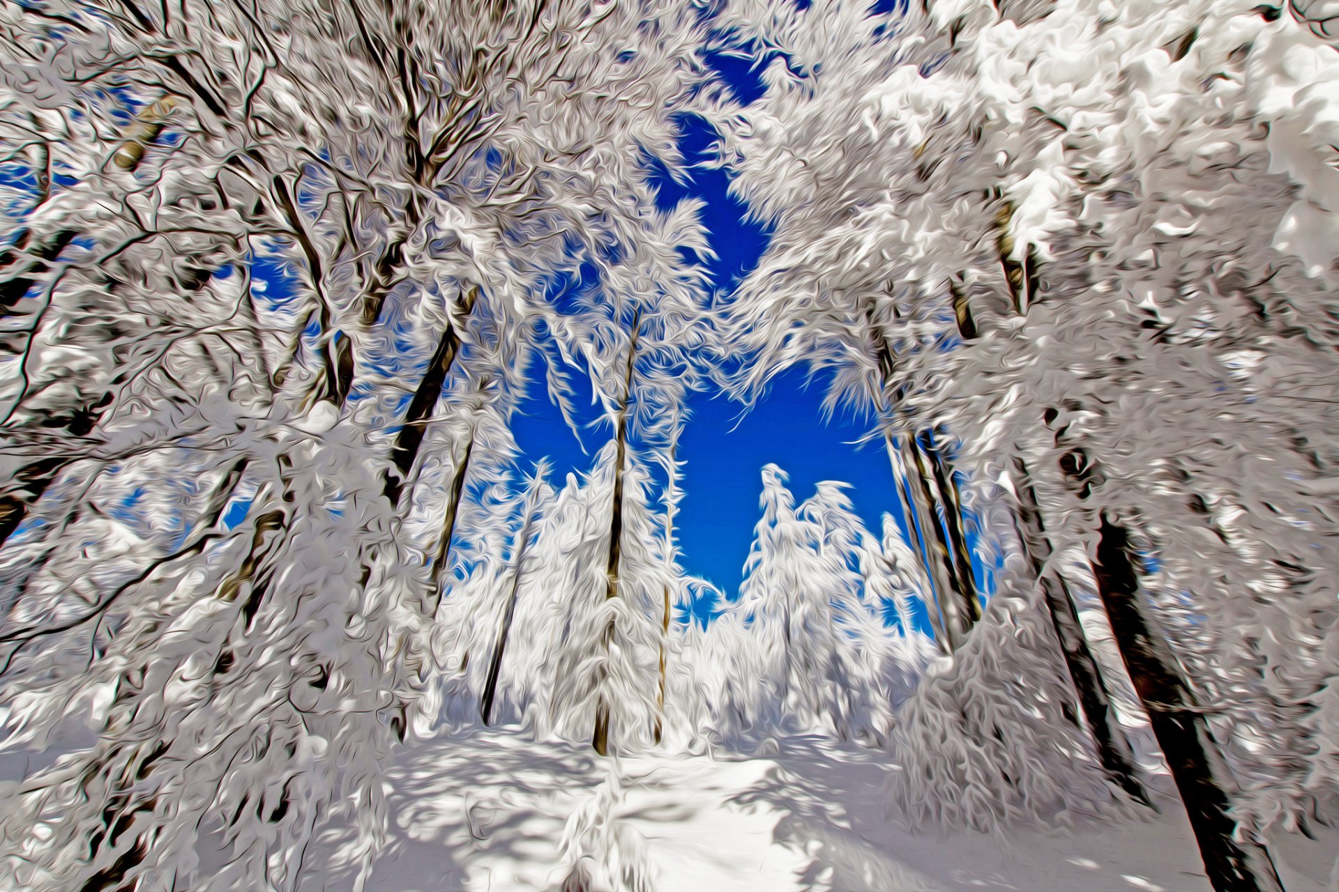 bosque invierno árboles cielo nieve líneas trazos naturaleza paisaje