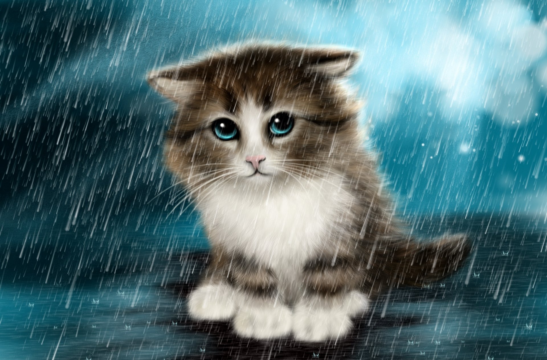 rain kitten sadne