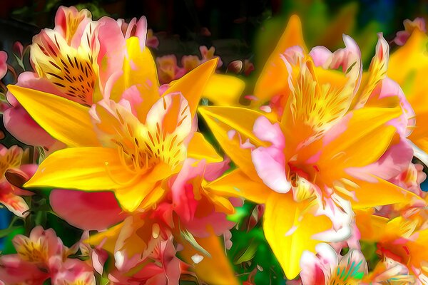 Hermosos lirios en una cama de flores en el Jardín