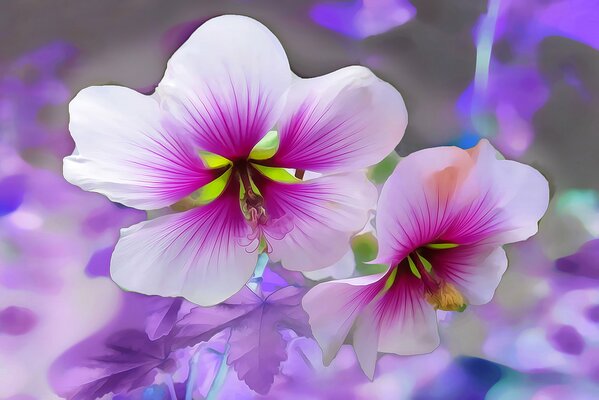Las flores de color púrpura huele muy bien en mi casa es la misma