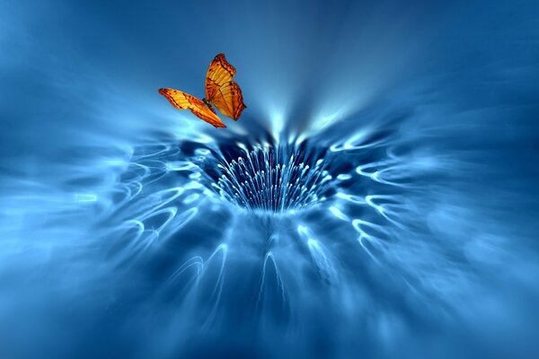 A beautiful butterfly over a blue stream