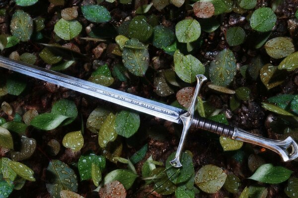 A sword on the fallen autumn wet leaves