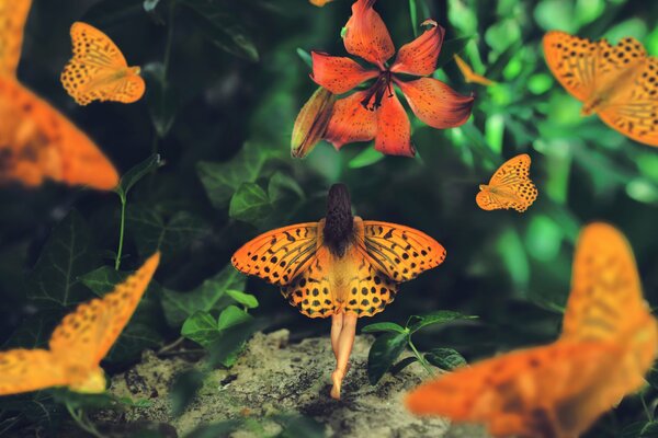 A girl with butterfly wings is standing with her back
