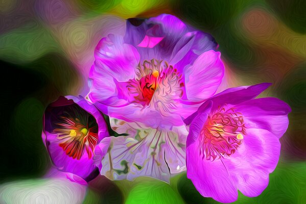 Le printemps se manifeste dans les pétales de fleurs