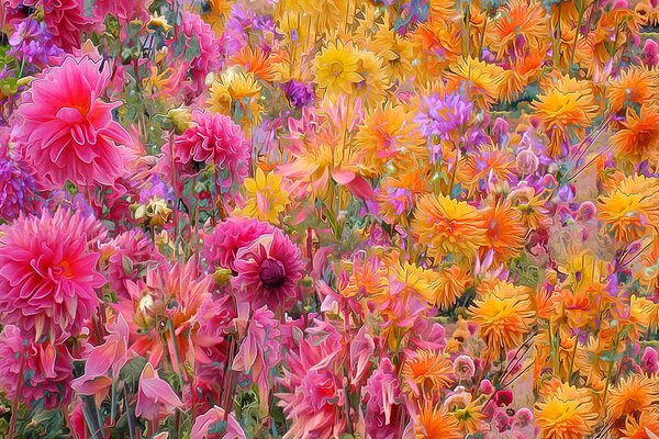 Gelbe und rosa Blüten auf der Wiese