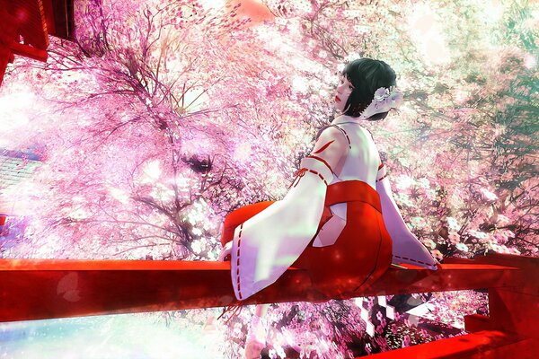 La luminosité de printemps dans le jardin de sakura
