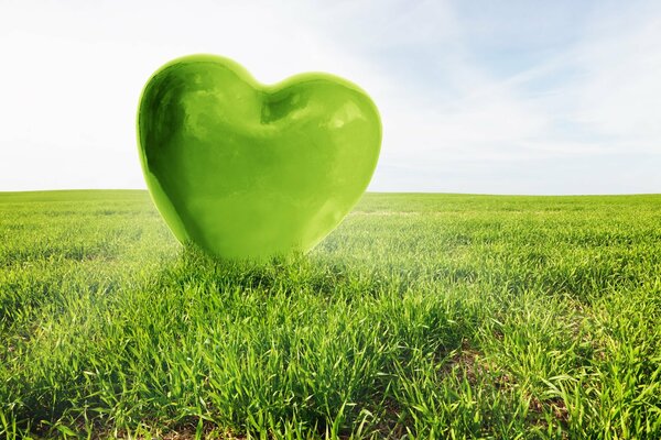Coeur vert sur l herbe en été