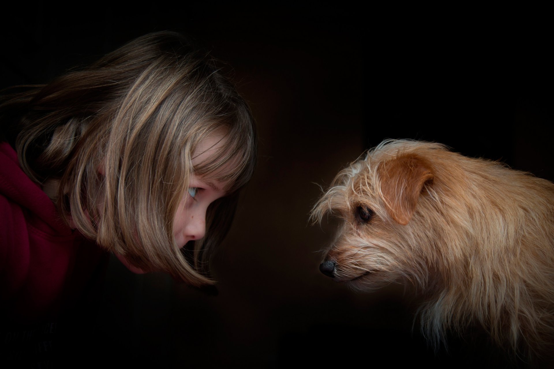 ragazza cagnolino occhi negli occhi