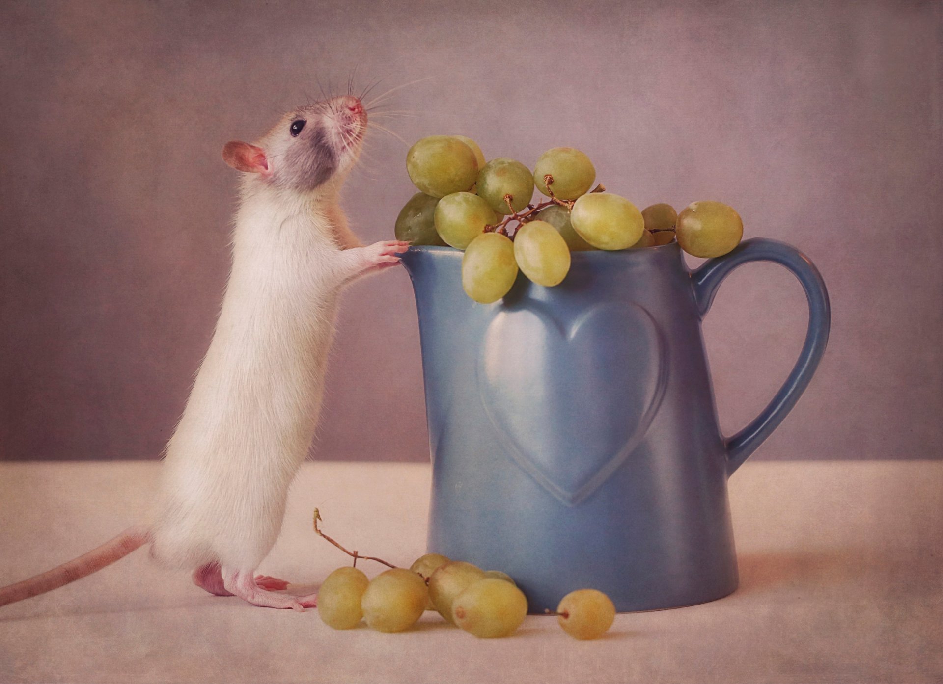 souris mug raisins