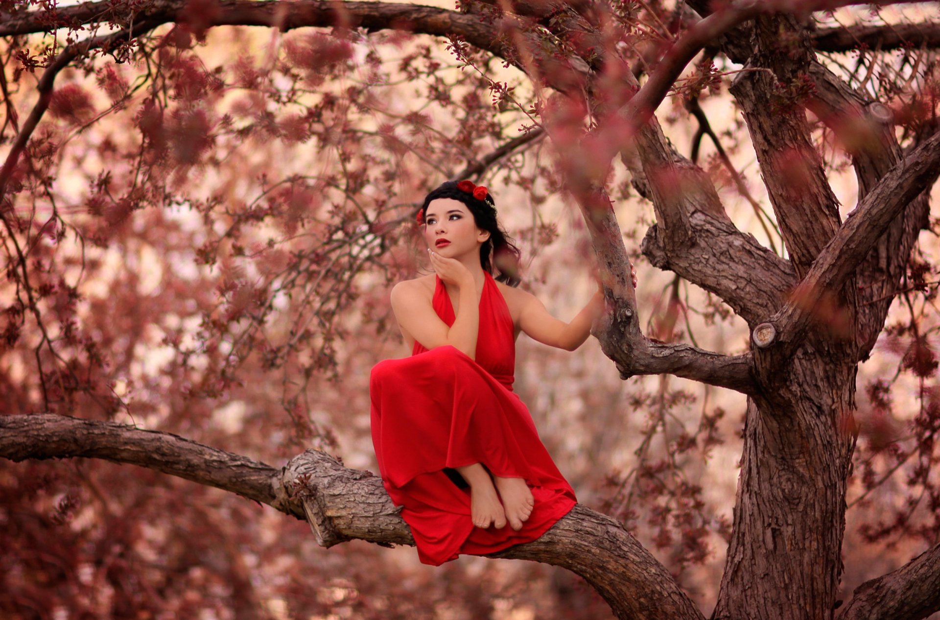 auf dem baum mädchen rotes kleid