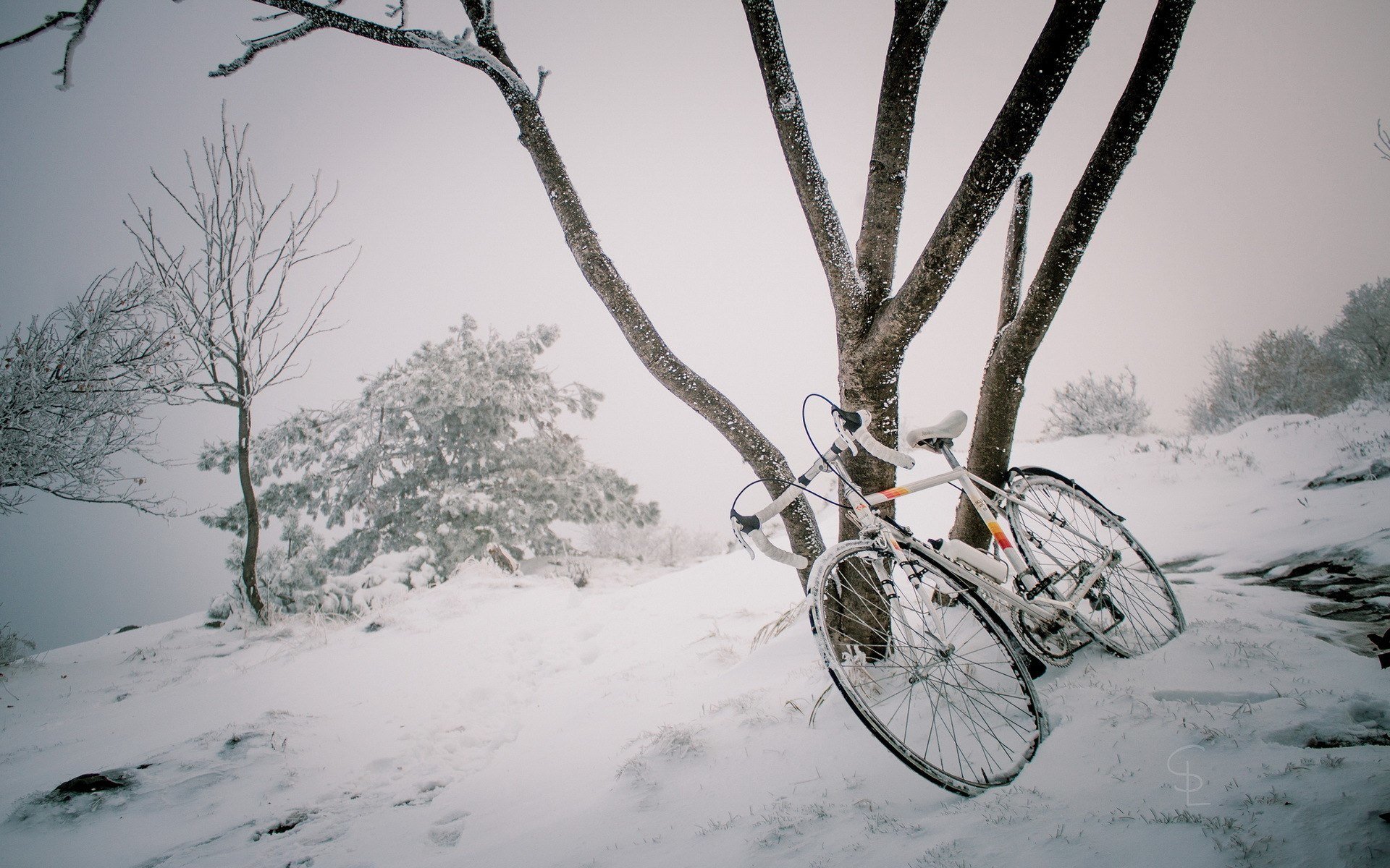 invierno bicicleta árbol nieve