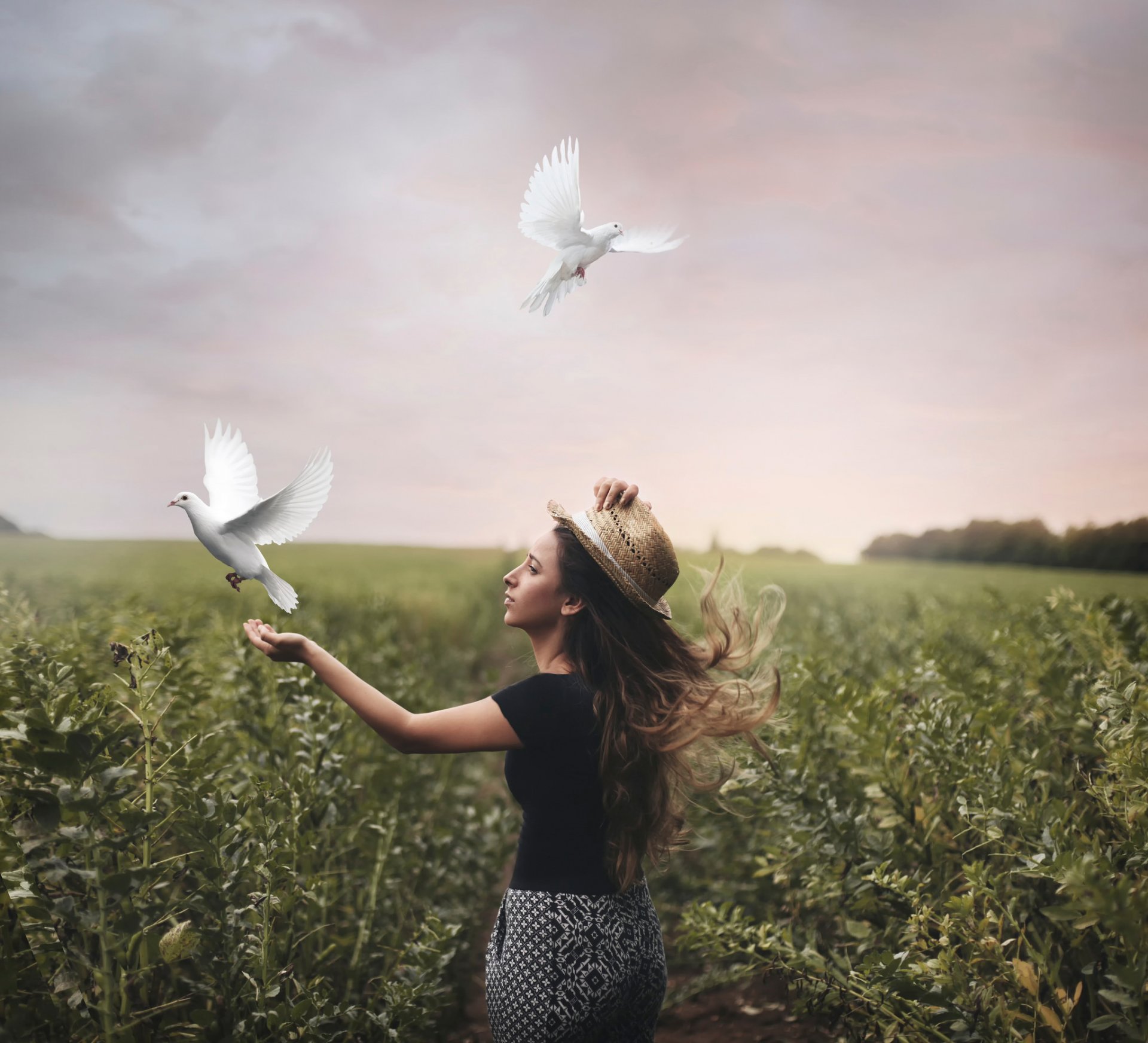 la liberté la jeune fille les pigeons