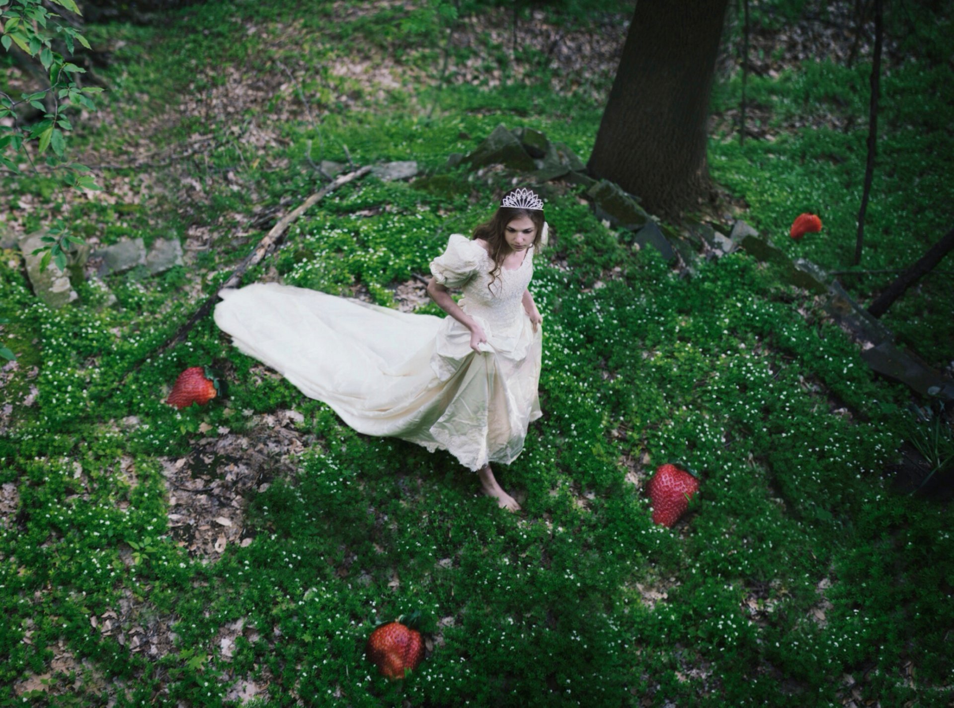 mädchen wald erdbeere beeren kleid tiara