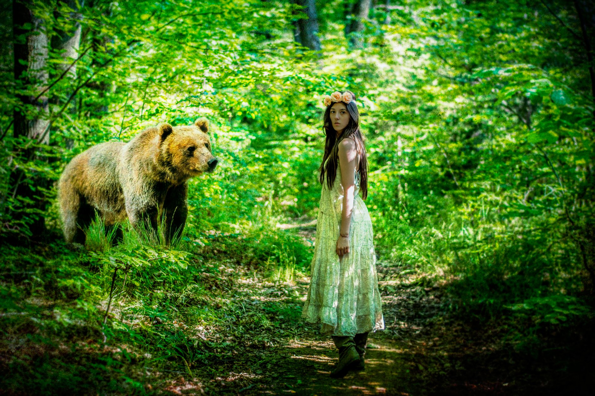 orso ragazza foresta