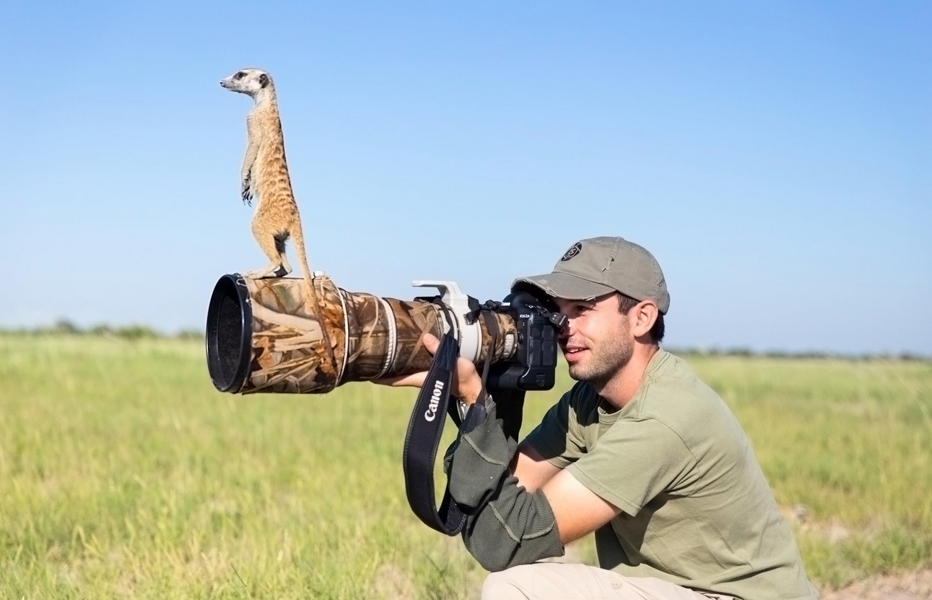 фотограф сурикат объектив