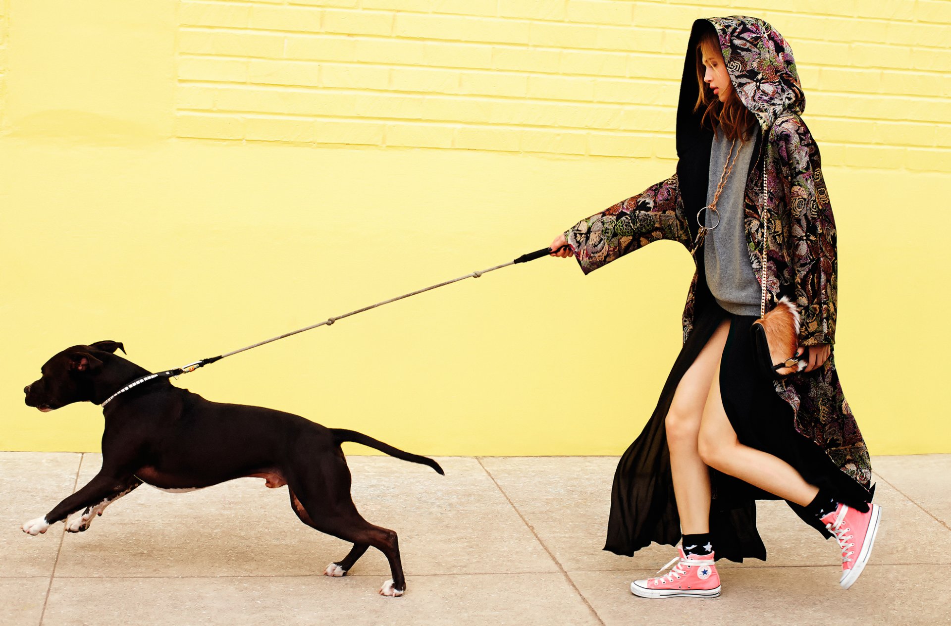 anais pouliot séance un chien anaïs pouliot elle