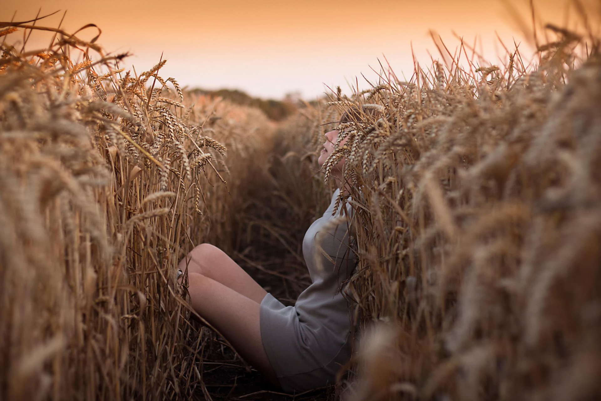 campo orecchie ragazza riparo