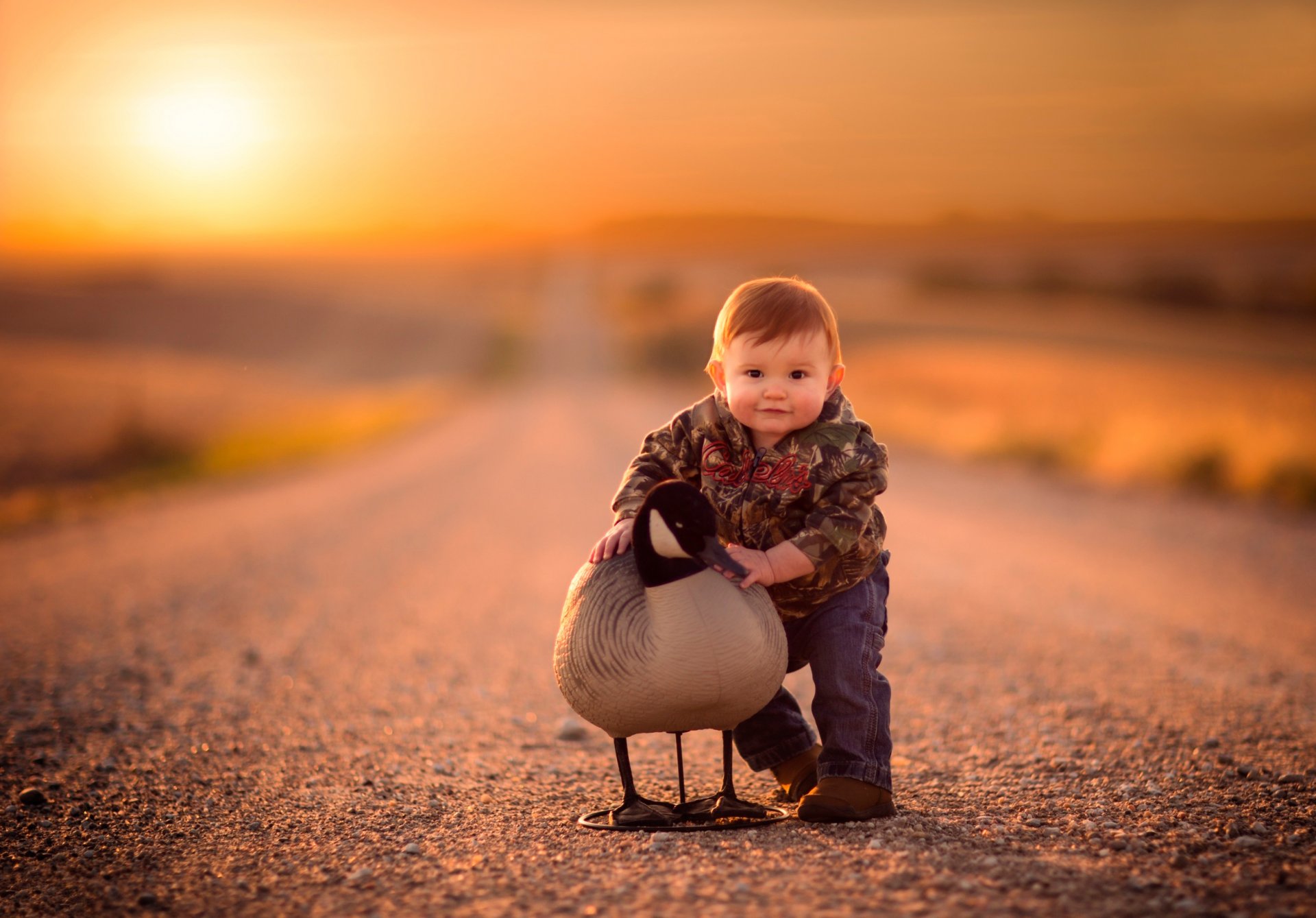 boys road poultry bokeh