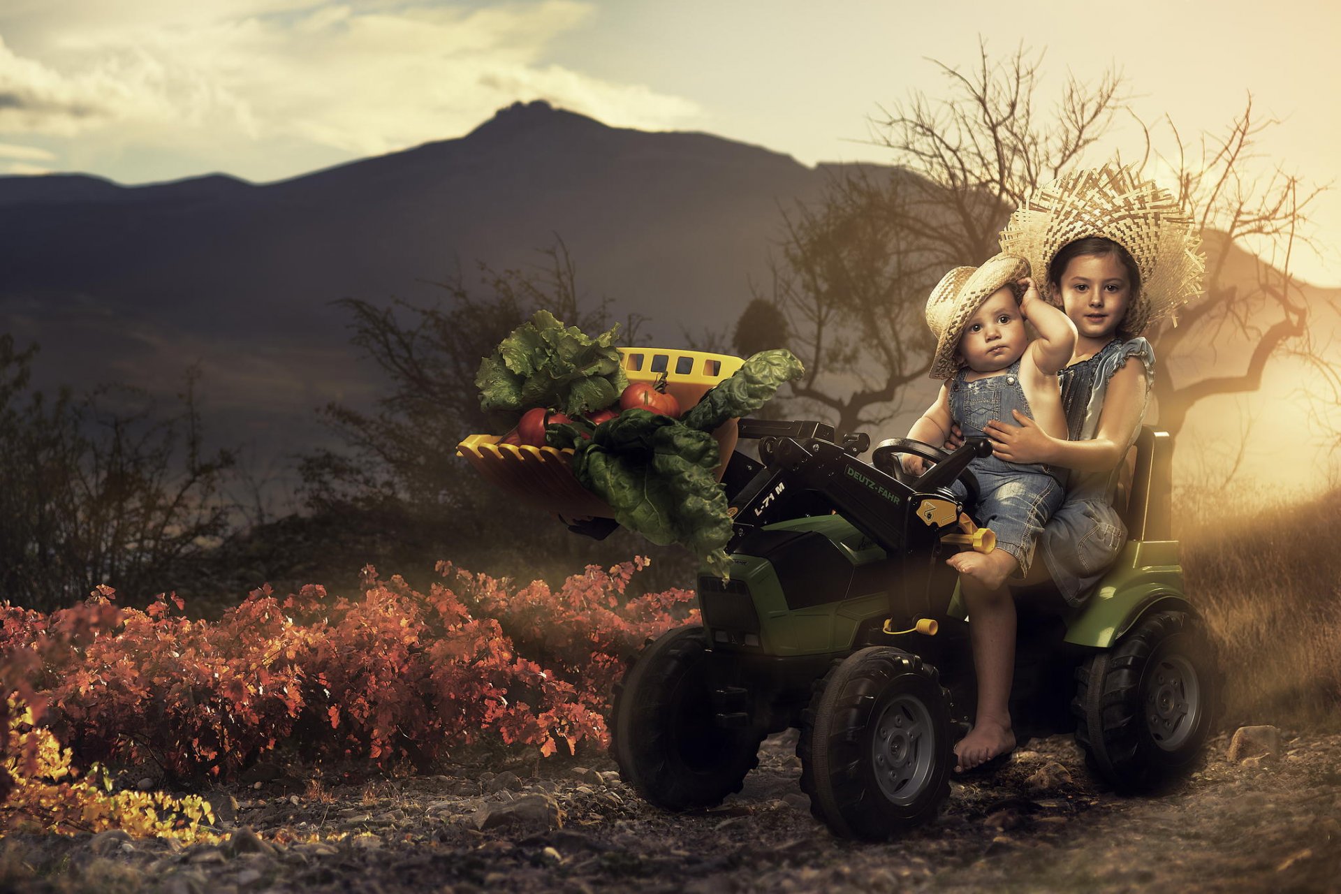 les enfants le tracteur la récolte les légumes