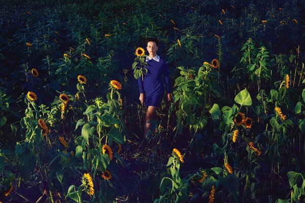 Después de la oficina en el campo de los girasoles