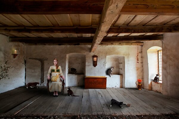 Habitación de niña con gatos, casa de madera