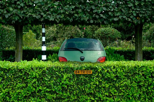 A car in a forest disguise, green background