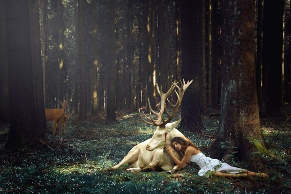 La jeune fille dans la forêt à une séance photo avec le cerf