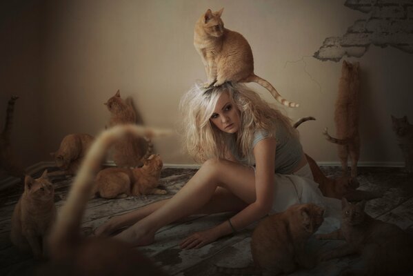 La jeune fille entourée de chats roux