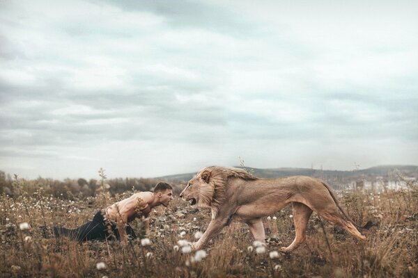 Belle image à couper le souffle d un gars avec un Lion