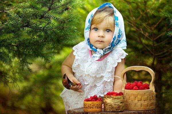 Niña en un pañuelo recoge frambuesas